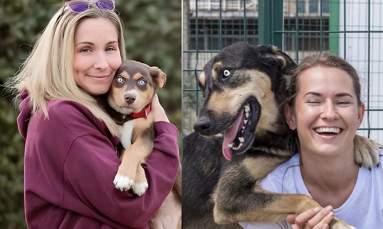 Adopted Stray Dog Turns Aggressive, Bites Woman