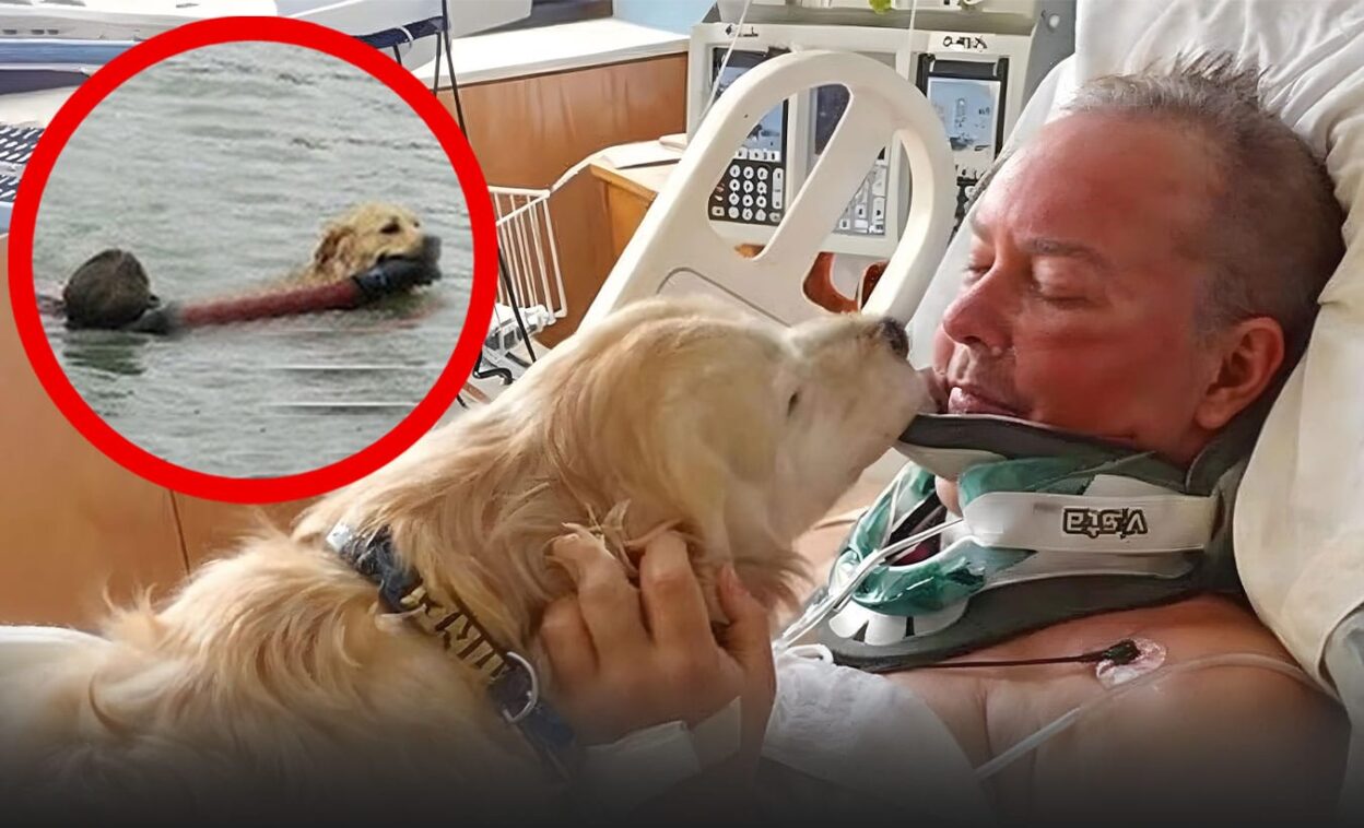 Dog Rescues Drowning Man After Boat Accident