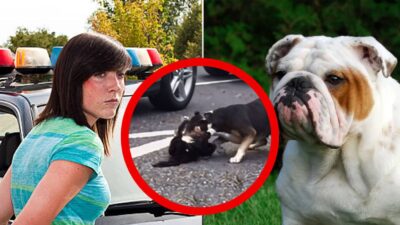 29-Year-Old Woman Arrested After Dog Injures Cat