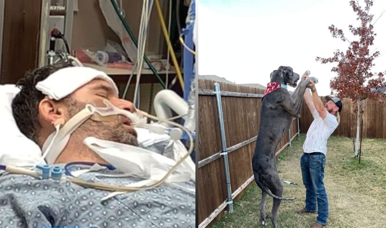 World’s Largest Dog Sends Man to ICU