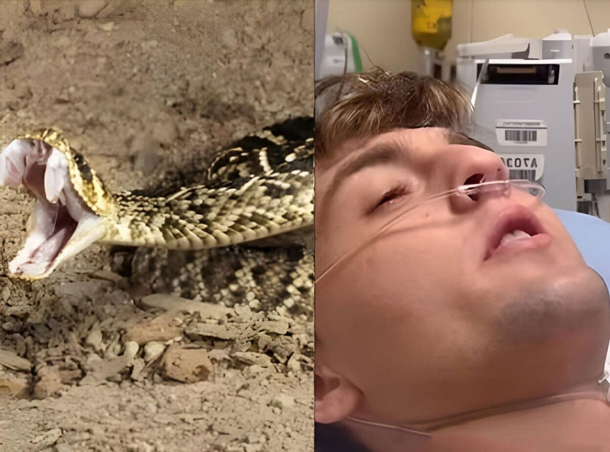 Influencer’s Snake Encounter Goes Viral with Shocking Twist