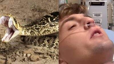 Influencer’s Snake Encounter Goes Viral with Shocking Twist