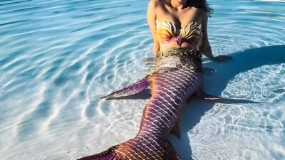 Real-Life Mermaid Found: The Truth Behind the Myth