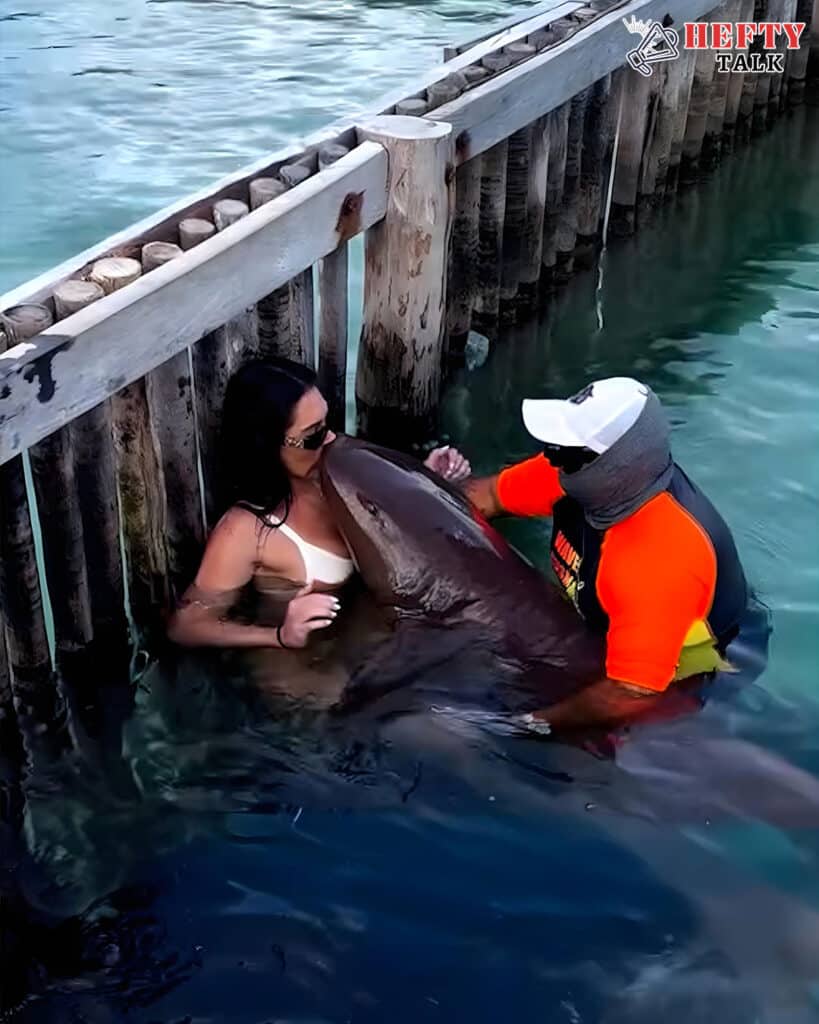 Terrifying Orca Encounter on a Beach Adventure