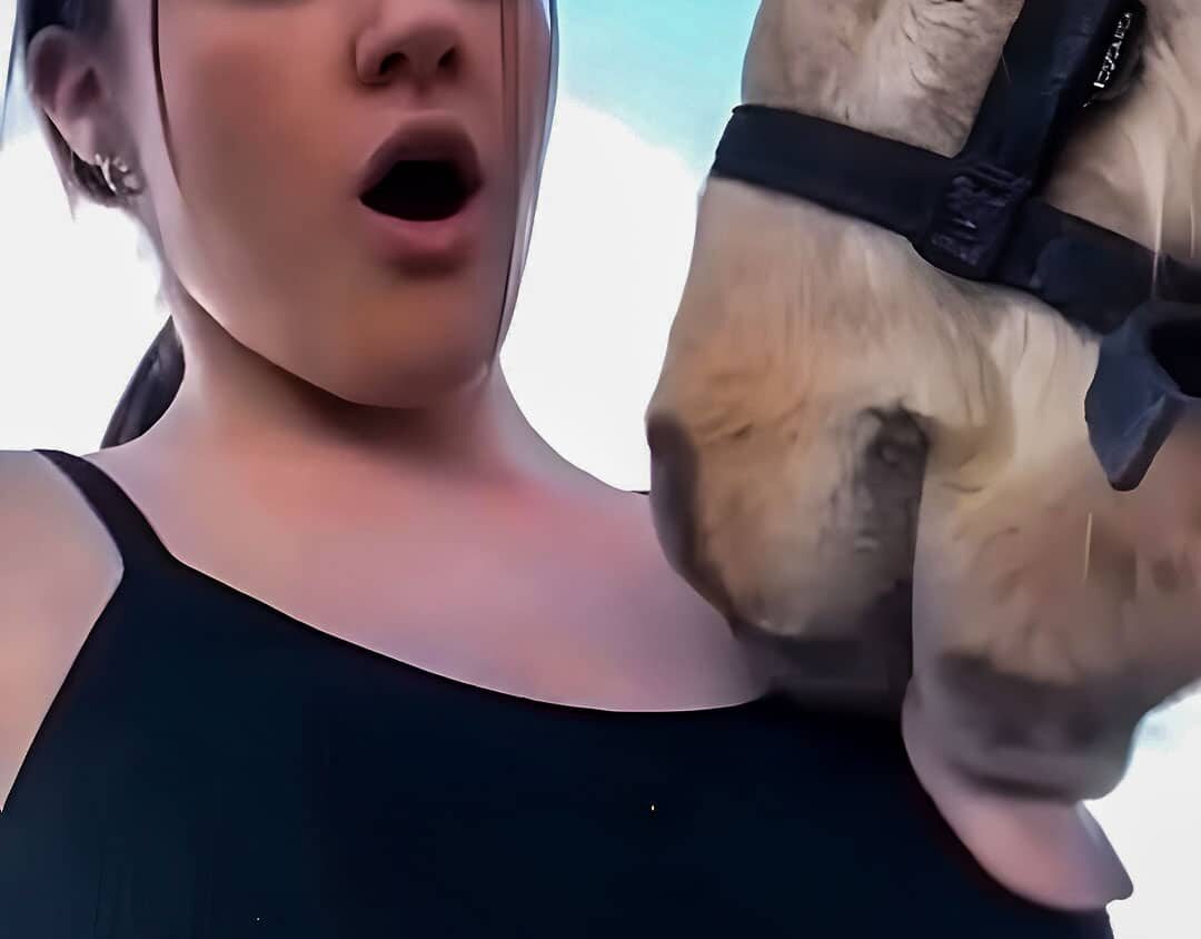 Cheeky Horse and His Funny Habit of Licking Me