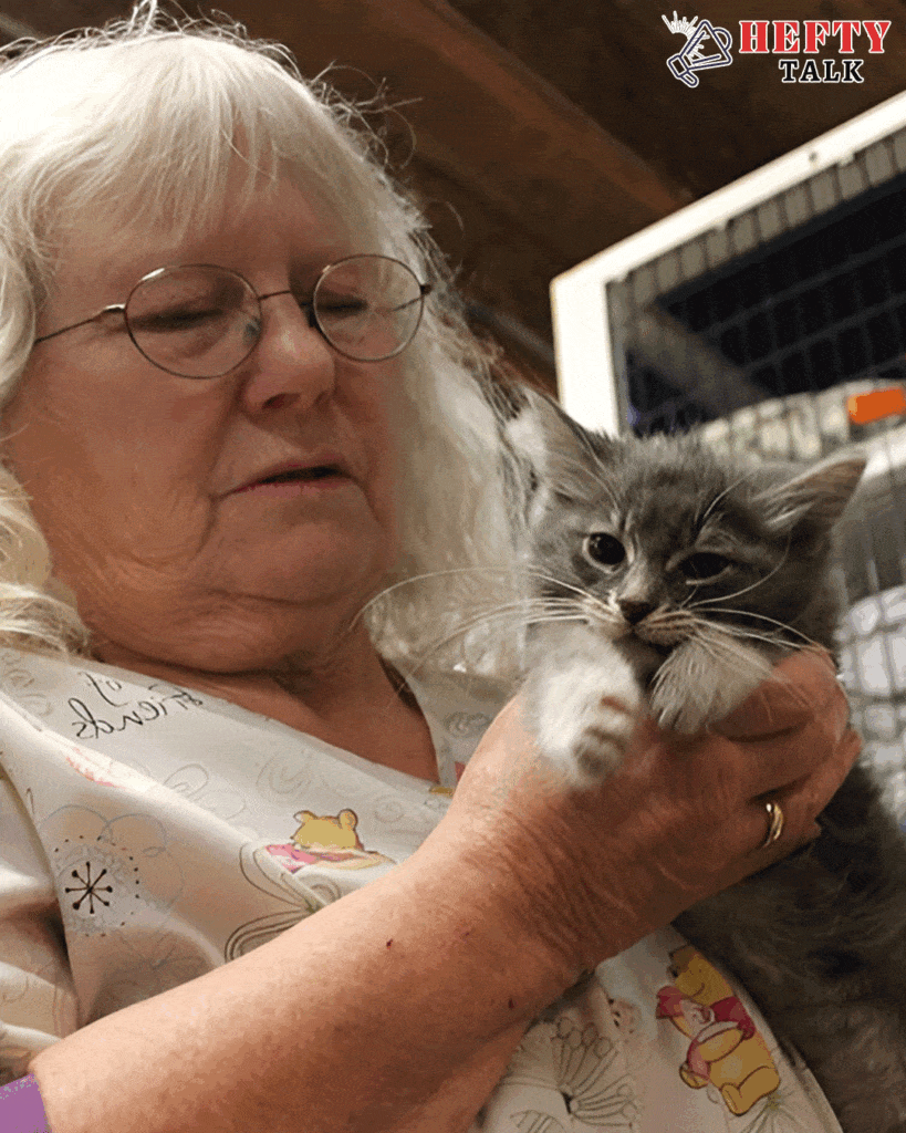 Eleanor's Journey Caring for Abandoned Cats Alone