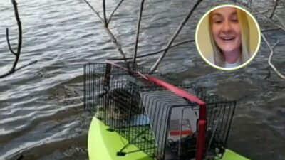 Brave Woman Kayaks to Save a Stranded Cat on Michigan's Saginaw River