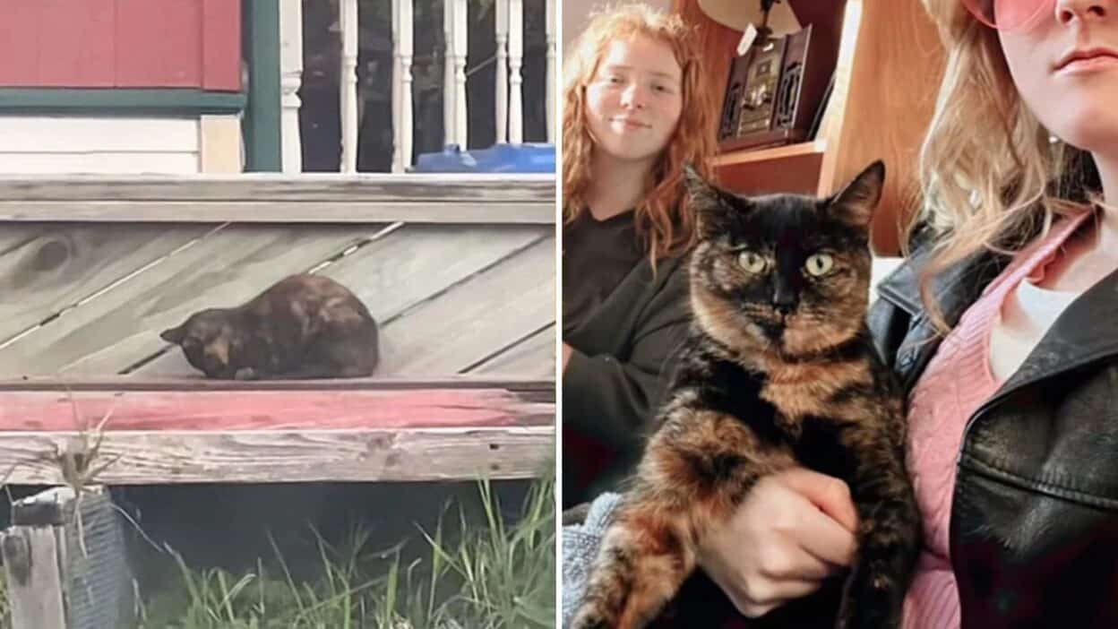 Woman Finds Unexpected Family After Buying Her First House
