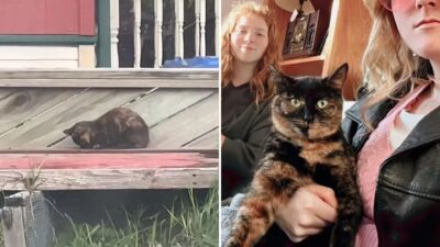 Woman Finds Unexpected Family After Buying Her First House