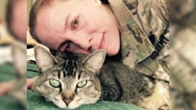 Maryland Soldier Forms Unbreakable Bond with Persistent Stray