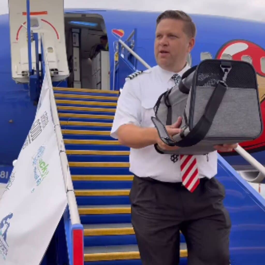 pilot holding a kittens crate