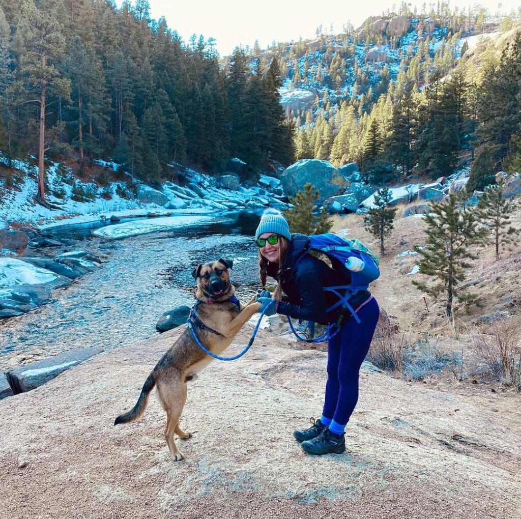 From Death Row to Dream Home: Logan the Dog Finds His Forever Family
