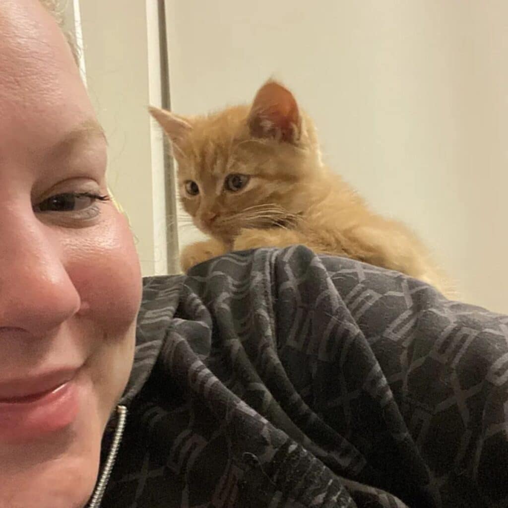 yellow kitten on a girls shoulder
